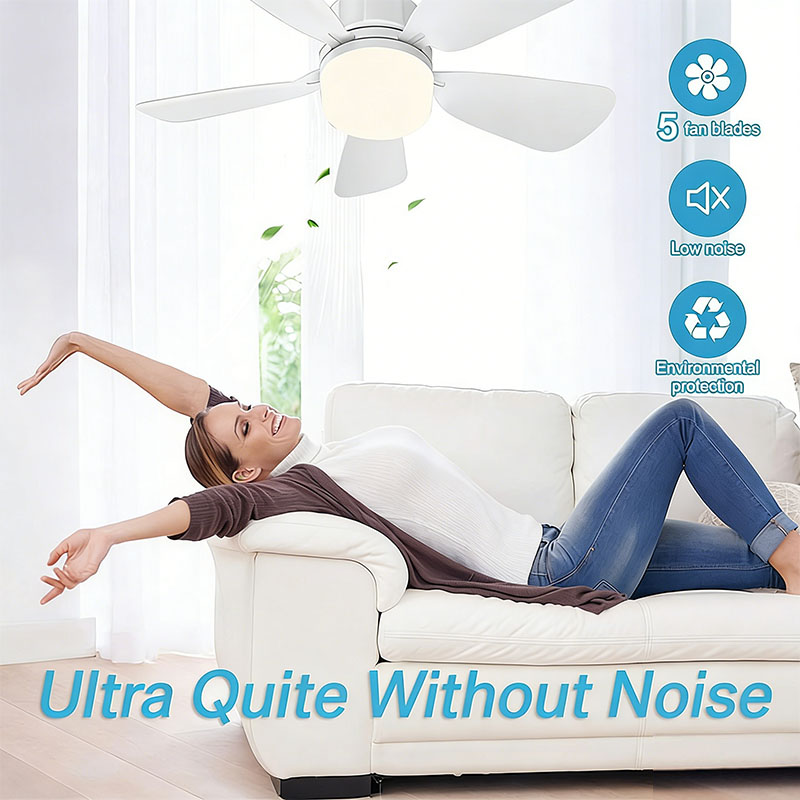 E27 ネジシーリングファンライトリモコン付き 85V-26 - Home Bathroom Fan のレビューと価格
